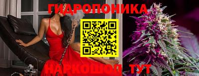 круглые Новодвинск