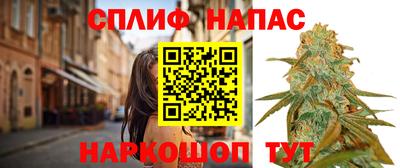гашик Нягань